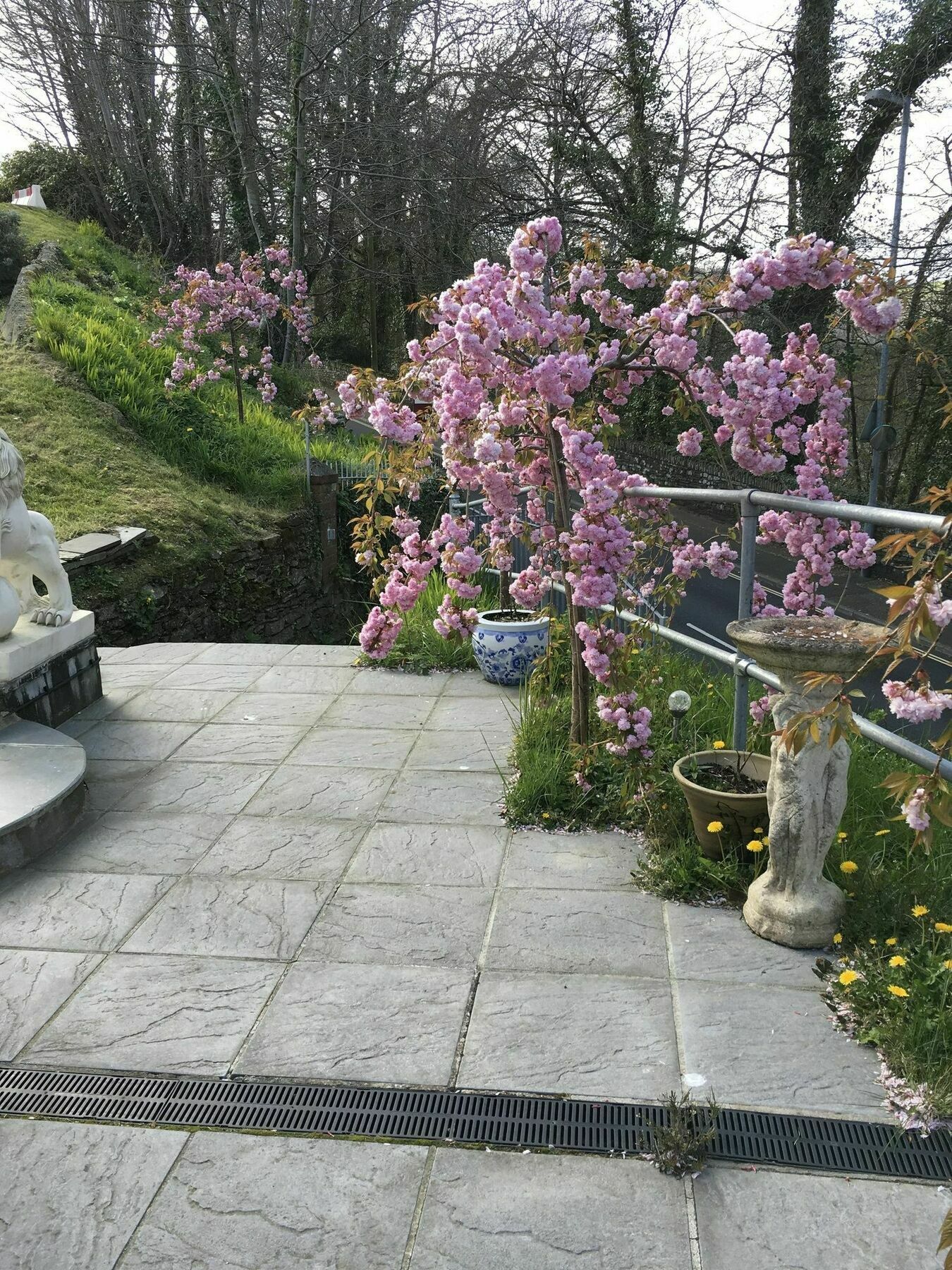 Cherrywood Lodge Looe Esterno foto